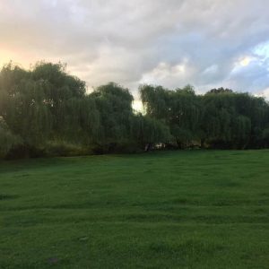 Loteo Luceros de Tacamo – Etapa 2