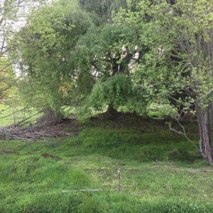 Loteo Luceros de Tacamo – Etapa 2